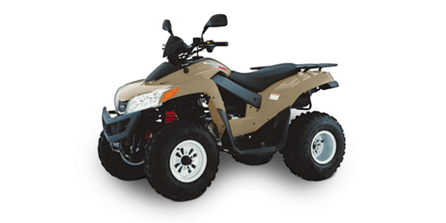 ATV / QUAD 300